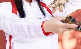 MiiTao蜜桃社 – 网袜也疯狂，E杯奶茶特别呈现的写真合集