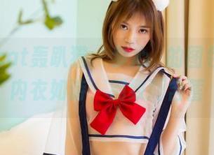 partycat轰趴猫 – 梦心玥的图包探险，内衣如诗，别致而含蓄