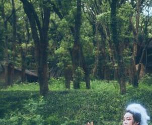 微密圈 – 好H好女杀手挑战你眼球，红裙高清写真集，你准备好了吗？